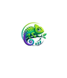 Chameleon SEO